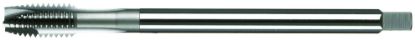 Picture of Vega 016828022 | 4-40 H2 2FL XLT-P TICN  Spiral Pointed Extension Taps